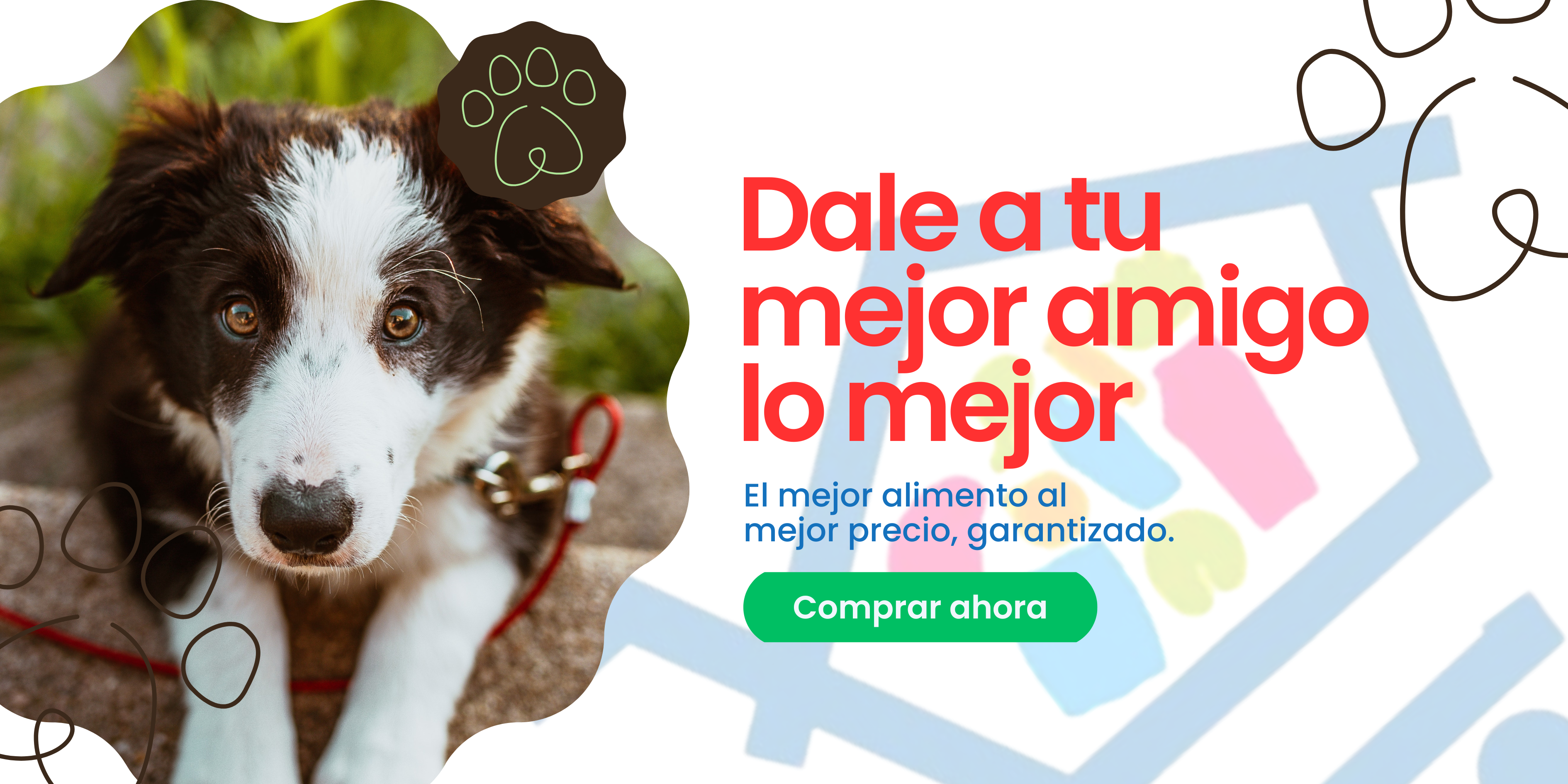 Oferta de canasta básica